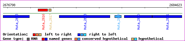 gene map