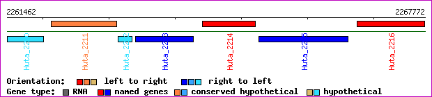 gene map