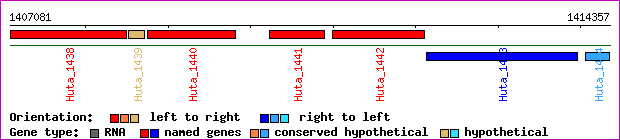 gene map