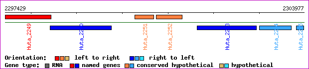 gene map
