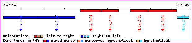 gene map