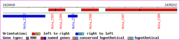 gene map