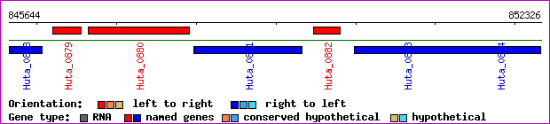gene map