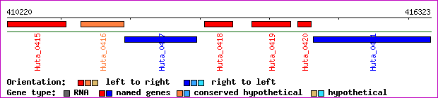 gene map