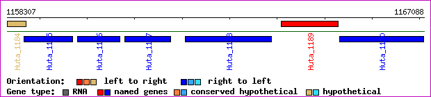gene map