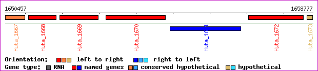 gene map