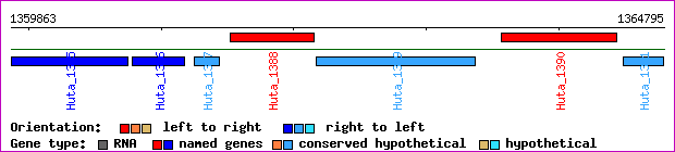 gene map