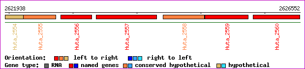 gene map