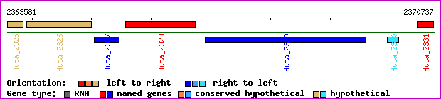 gene map