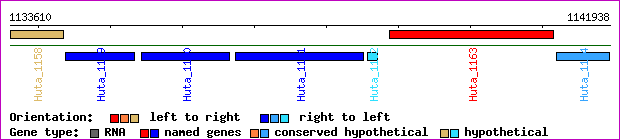 gene map