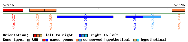 gene map