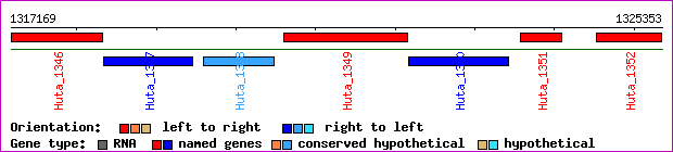 gene map