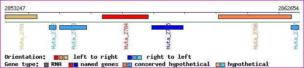 gene map
