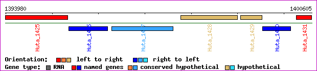 gene map