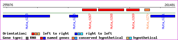 gene map