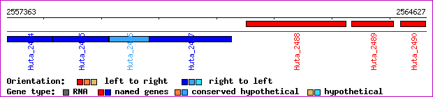 gene map