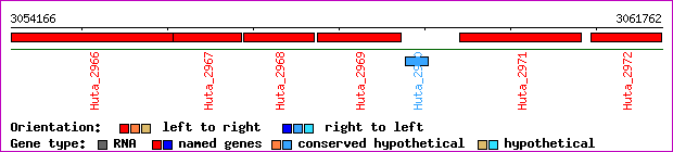 gene map