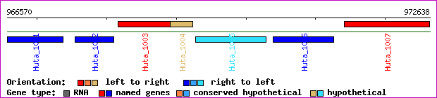 gene map