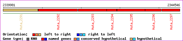 gene map