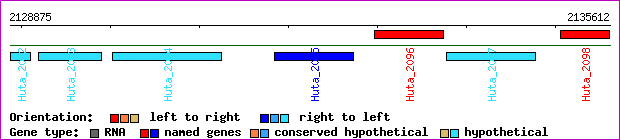 gene map