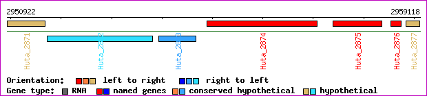 gene map