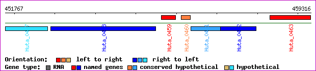 gene map
