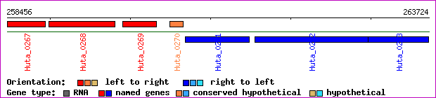 gene map