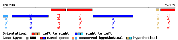 gene map