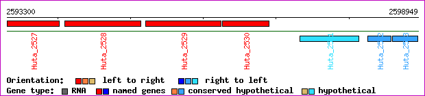 gene map