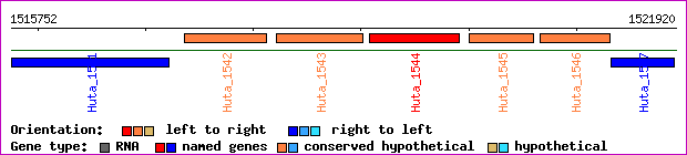 gene map