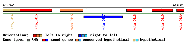 gene map