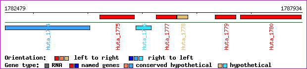 gene map