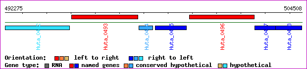 gene map
