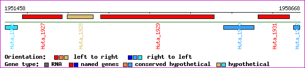 gene map