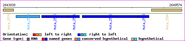 gene map