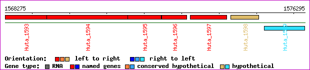 gene map
