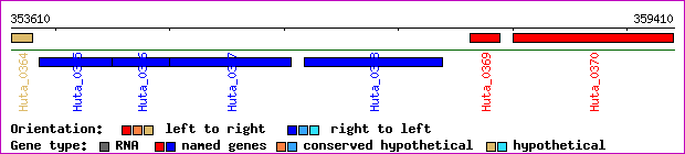 gene map