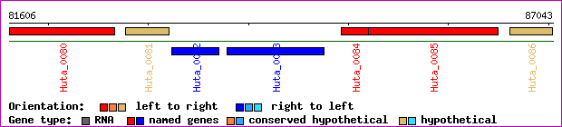 gene map