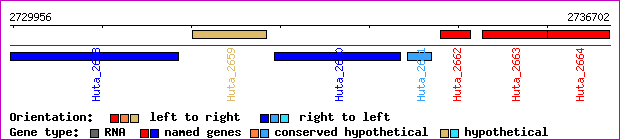 gene map