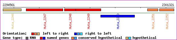 gene map
