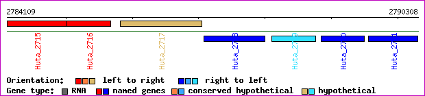 gene map