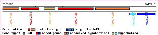gene map