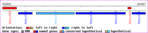 gene map