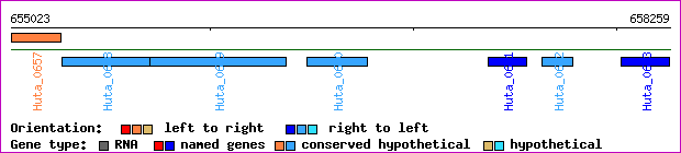 gene map