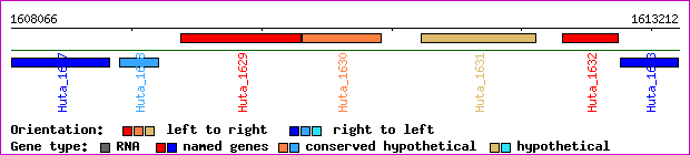 gene map