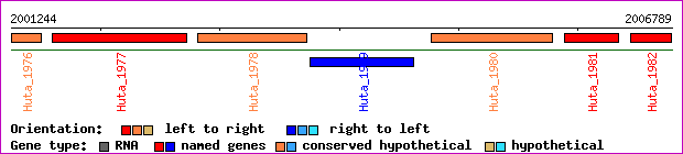 gene map