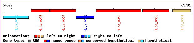 gene map