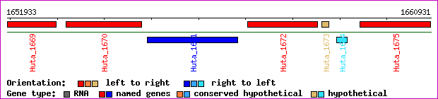 gene map