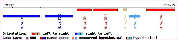 gene map