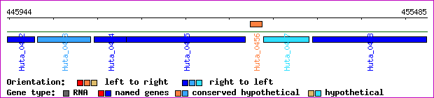 gene map